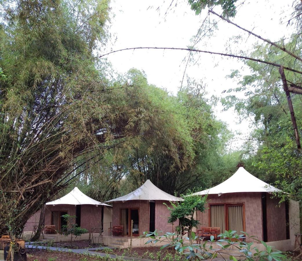 Jawa Jiwa G-Land Resort Dadapan Εξωτερικό φωτογραφία