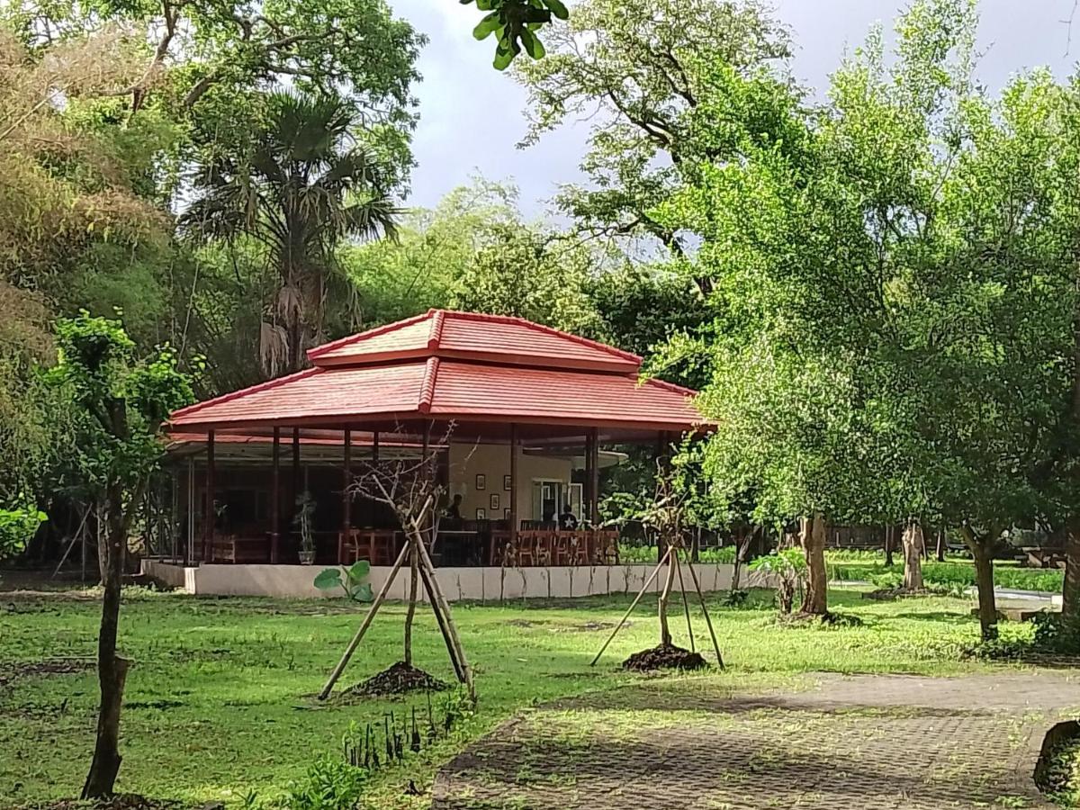 Jawa Jiwa G-Land Resort Dadapan Εξωτερικό φωτογραφία