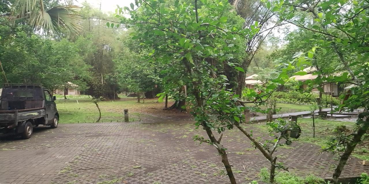 Jawa Jiwa G-Land Resort Dadapan Εξωτερικό φωτογραφία